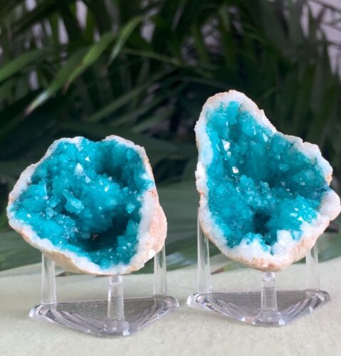 Blue Geode Pair W/Stands Crystal Quartz Gemstone Specimen Dyed Morocco Geode